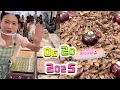Download Lagu Setting up a stall to sell tiramisu🍰 #snacks #food #cake #streetfood #eat #cakedecoration