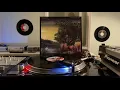 Fleetwood Mac - Big Love (VINYL, Hi-Res Audio)
