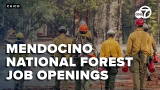 Roles Open In Mendocino National Forest S 2026 Fire Team Applications Open Until Oct 29 
