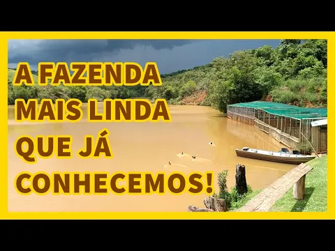 Download MP3 Mostrando as aves e a incrível estrutura do criatório Aves Ornamentais | Coração Campeiro