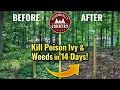 Weeds and Poison Ivy Took Over My Land Until I Found THIS 14-Day Test