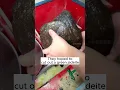 Download Lagu cutting jade is exciting! #jade #crystals #gemstone