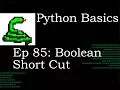 Python Basics Boolean Shortcut
