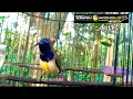 Download Lagu SOGON MATERI BREM CIBLEK PANJANG || mr. Andika SWB Wonosobo