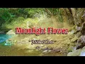 Download Lagu Moonlight Flower - KARAOKE VERSION - as popularized by Michael Cretu
