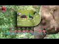 《快乐天堂（完整版）》刘若英演唱