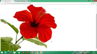 JavaScript Tutorial Introduction Practicals PART-7 BY BINESHA 7