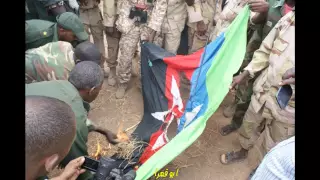 القوات المسلحة السودانية في الطريق الي كاودا  القوات المسلحة السودانية في الطريق الي كاودا