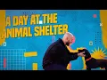 On the Job A Day at the Waco Animal Shelter