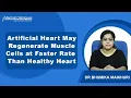 Can Heart Heal Itself