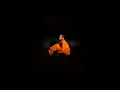 Zevia - if depression gets the best of me (acoustic - Official Audio)