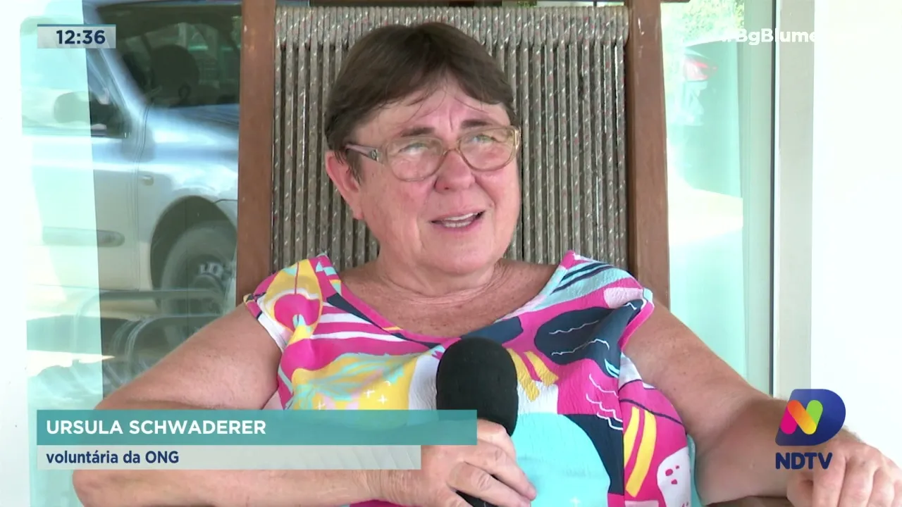 Conheça a Aprablu, que há 22 anos resgata animais em situação de maus-tratos