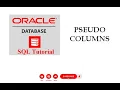10 DATABASE Oracle SQL Pseudo Columns in Oracle ROWID ROW - NUM DUAL