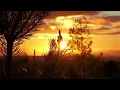 8 Hours Of Deep Sleep | Relaxing Nighttime Nature Sounds For Sleeping