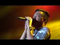 Download Lagu Shaggydog - Kembali Berdansa LIVE Yogyakarta