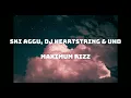 Ski Aggu – MAXIMUM RIZZ Lyrics