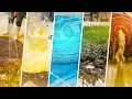 Guaranteed Deep Sleep 8-Hour Rug Cleaning Compilation for Sleep
