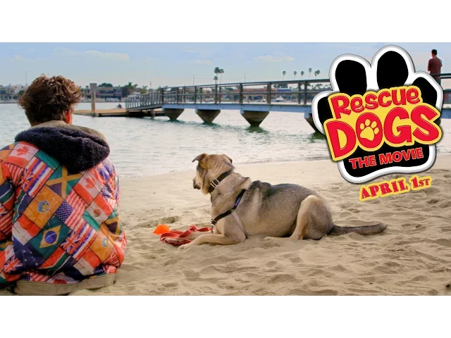 RESCUE DOGS - Official Trailer