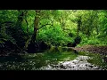 Download Lagu FOREST RIVER SOUNDS, BEAUTIFUL BIRDSONG, RELAXING NATURE SOUNDS with @GoodMorningBirds