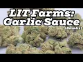 LIT Farms Garlic Sauce Essential Smalls Strain Review Macro Nug Shots
