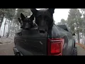 BAM - FLEX (Official Video)