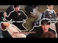 Lagu SEVENTEEN DK doesn't get embarrassed, embarrassment gets DKed (a funny video)