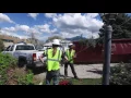 Diamond Tree Experts Tree Removal Utah Salt Lake City Emergency Service