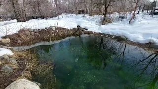 Табиати зинда. Мавзеъи "Чашмаи Миркалон"