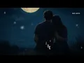 Pyaari Lage (Slowed + Reverb) | Vishal Mishra, Tulsi Kumar | Border 2 | SR Lofi