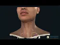 Good Morning Washington Medical Mondays Thyroid Nodules with Dr Noureldine