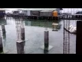 Download Lagu Pondasi Telapak Beton di Dasar Laut untuk Rumah Panggung
