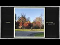 CFCF - Oxygen Lounge