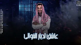 مهرجان   رش البارود   وعد محمد   القناص السيناوي   رجب استري دندنها