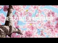 Download Lagu Reto de Meditacion Creando Abundancia DIA 6 | Deepak Chopra | 21 Días