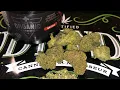 Green Crack Strain Review PA Medical