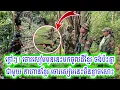 Download Lagu ក្តៅៗ! ចោរសៀមមុននេះមកចូលដីខ្មែរ​ ចង់មករករឿង​ ទាហាន​ខ្មែរ​ ចោរសៀមនេះមិនខ្លាចសោះ៕