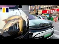 Download Lagu Driver in China criticised for turning car bonnet into ‘fish tank’