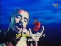 Café Tacvba - Las Flores (Official CantoYo Video)