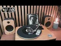 Peter Tosh - Why Must I Cry [Reggaeville Vinyl Vibes #121]