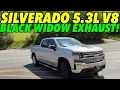 2020 Chevy Silverado LT 5 3L V8 w BLACK WIDOW WIDOW MAKER