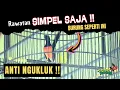 Download Lagu JANGAN TERLALU BANYAK JANGKRIK ‼️ MURAI SERING NGUKLUK