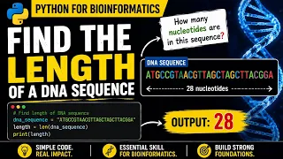 How to Find the Length of a DNA Sequence in Python Python for Bioinformatics