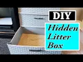 ATTENTION CAT PEOPLE YOU NEED THIS Hidden Litter Box DIY