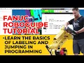 Mastering Robot Code Structures Learn the Basics of Labeling and Jumping in Programming