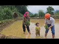 Download Lagu The mother and daughter worked in the fields to plant rice, and the engineer helped them plant.