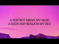 Owl City - Fireflies