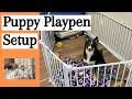 My Puppy Playpen Setup