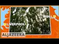 Lagu 🇬🇧 The UK's new forest plan: 50 million trees over 25 years | Al Jazeera English