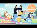 Bingo on the Seesaw 🧡 | Bluey Full Episode | Bingo - Official Channel