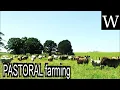 PASTORAL farming - WikiVidi Documentary